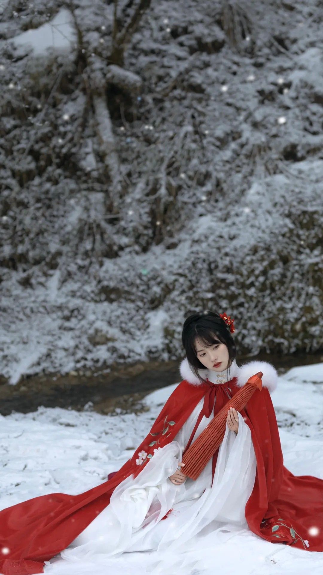 Winter Traditional女装,探索古典女士冬装的魅力 Winter Traditional女装,探索古典女士冬装的魅力
