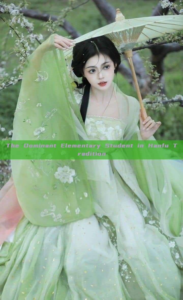 The Dominant Elementary Student in Hanfu Tradition The Dominant Elementary Student in Hanfu Tradition