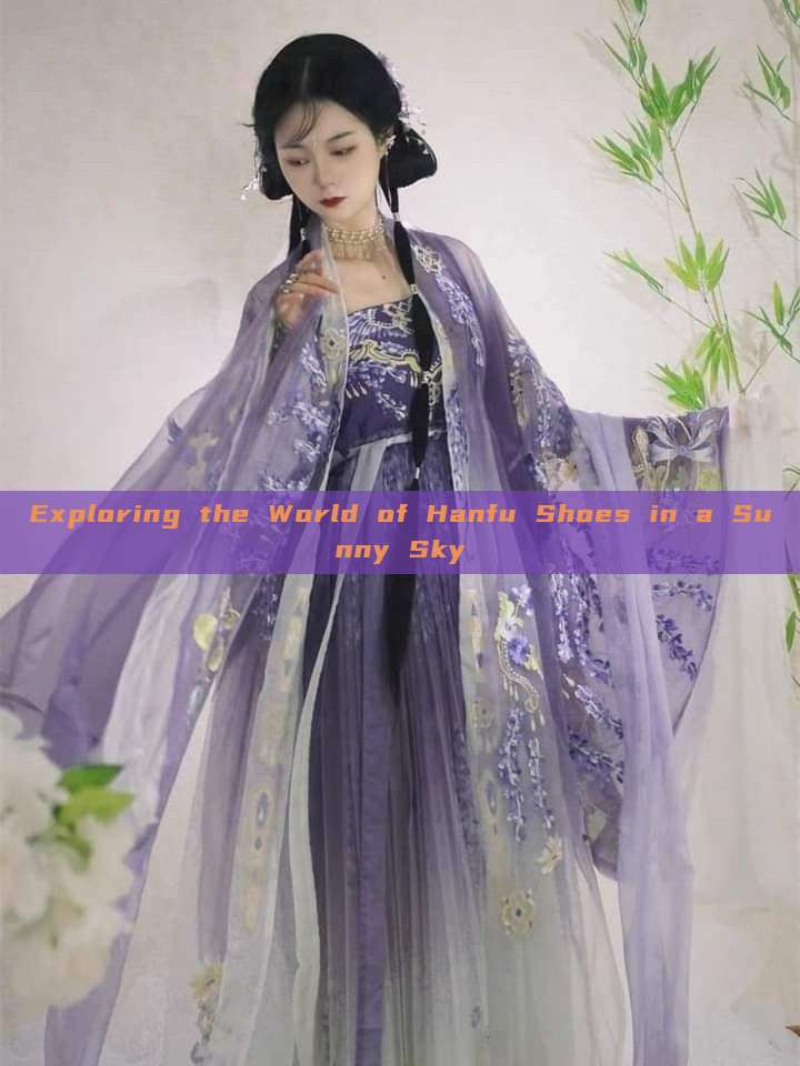Exploring the World of Hanfu Shoes in a Sunny Sky Exploring the World of Hanfu Shoes in a Sunny Sky