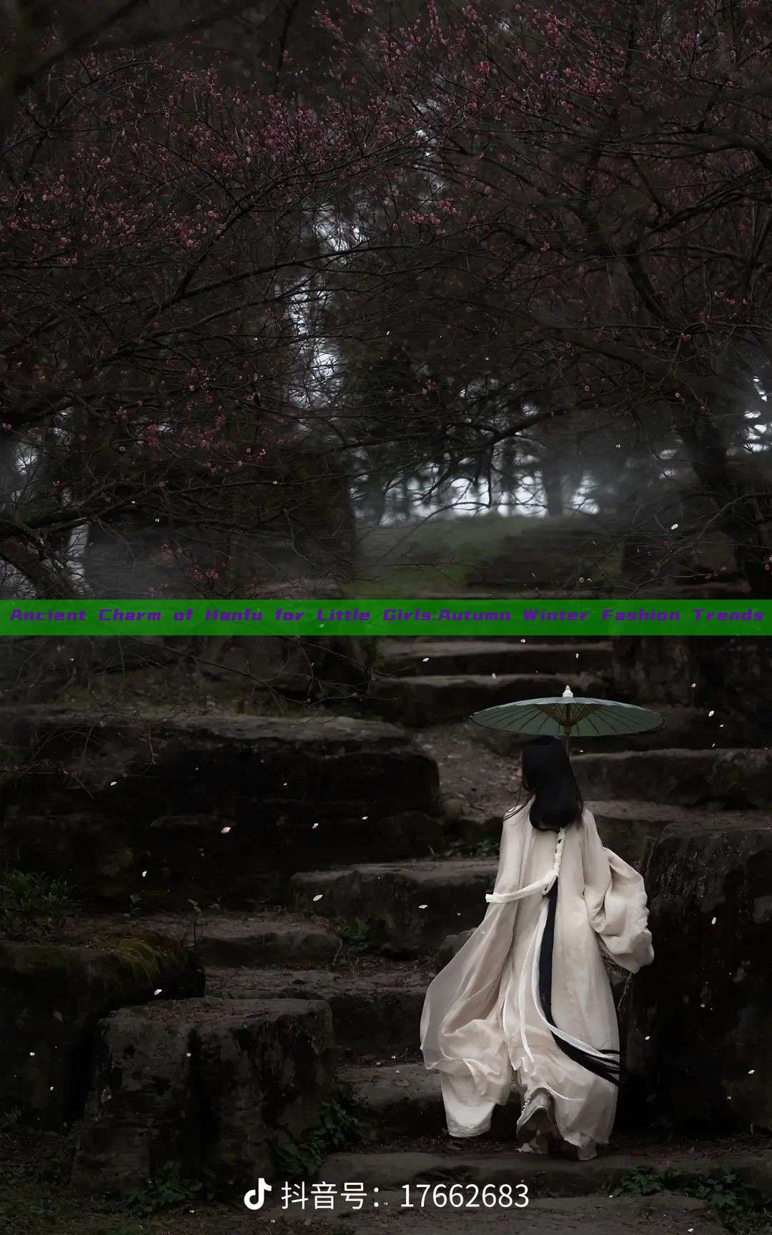 Ancient Charm of Hanfu for Little Girls:Autumn Winter Fashion Trends Ancient Charm of Hanfu for Little Girls:Autumn Winter Fashion Trends