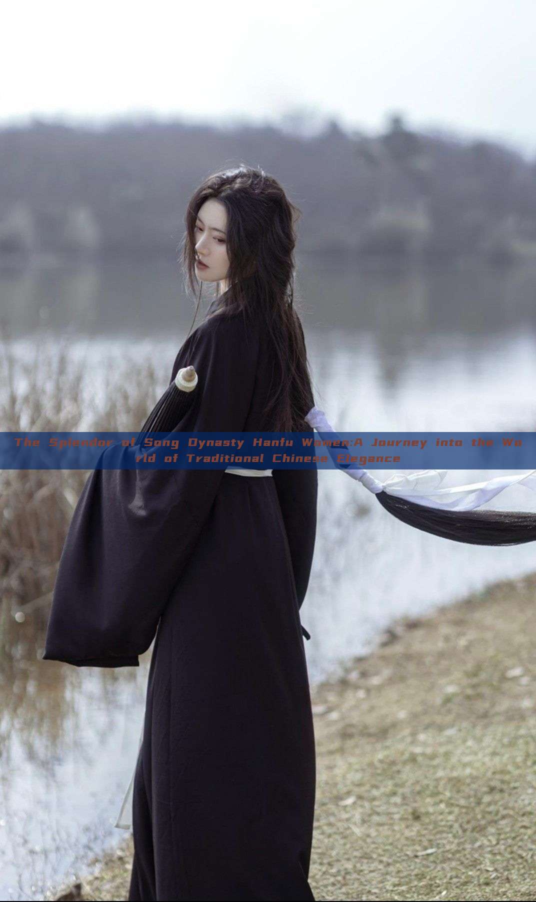 The Splendor of Song Dynasty Hanfu Women:A Journey into the World of Traditional Chinese Elegance The Splendor of Song Dynasty Hanfu Women:A Journey into the World of Traditional Chinese Elegance