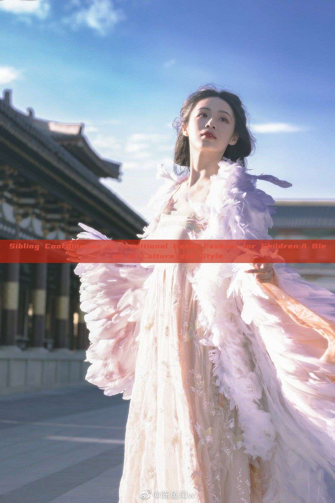 Sibling Coordination in Traditional Hanfu Fashion for Children:A Blend of Culture and Style