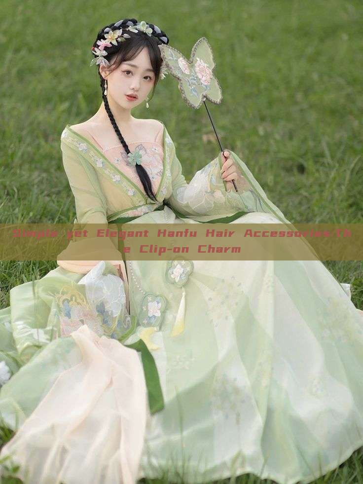Simple yet Elegant Hanfu Hair Accessories:The Clip-on Charm Simple yet Elegant Hanfu Hair Accessories:The Clip-on Charm