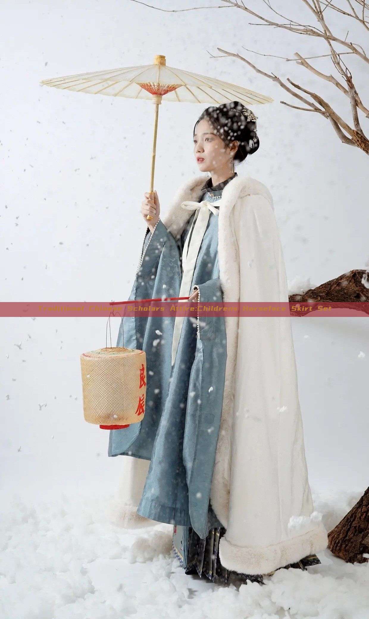 Traditional Chinese Scholars Attire:Childrens Horseface Skirt Set Traditional Chinese Scholars Attire:Childrens Horseface Skirt Set