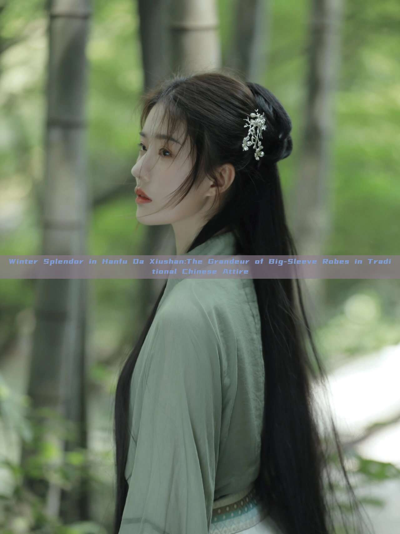 Winter Splendor in Hanfu Da Xiushan:The Grandeur of Big-Sleeve Robes in Traditional Chinese Attire Winter Splendor in Hanfu Da Xiushan:The Grandeur of Big-Sleeve Robes in Traditional Chinese Attire