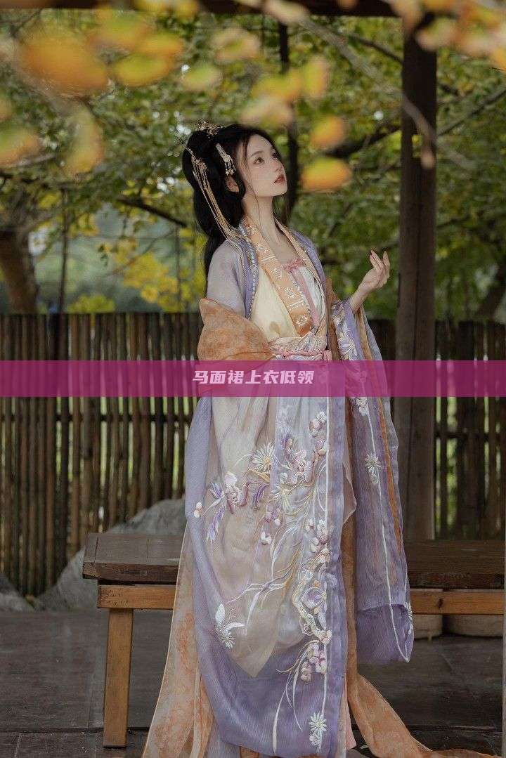 马面裙上衣低领 马面裙上衣低领