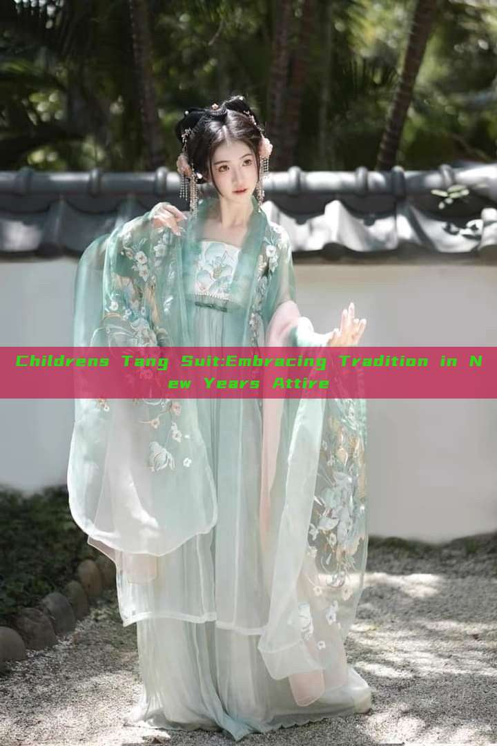 Childrens Tang Suit:Embracing Tradition in New Years Attire Childrens Tang Suit:Embracing Tradition in New Years Attire