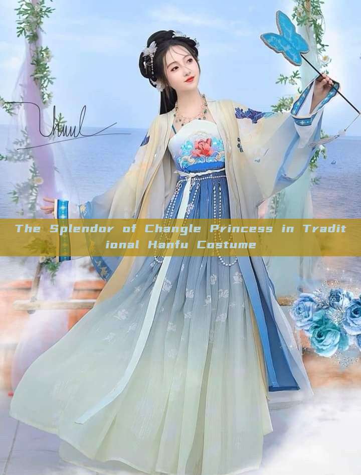 The Splendor of Changle Princess in Traditional Hanfu Costume