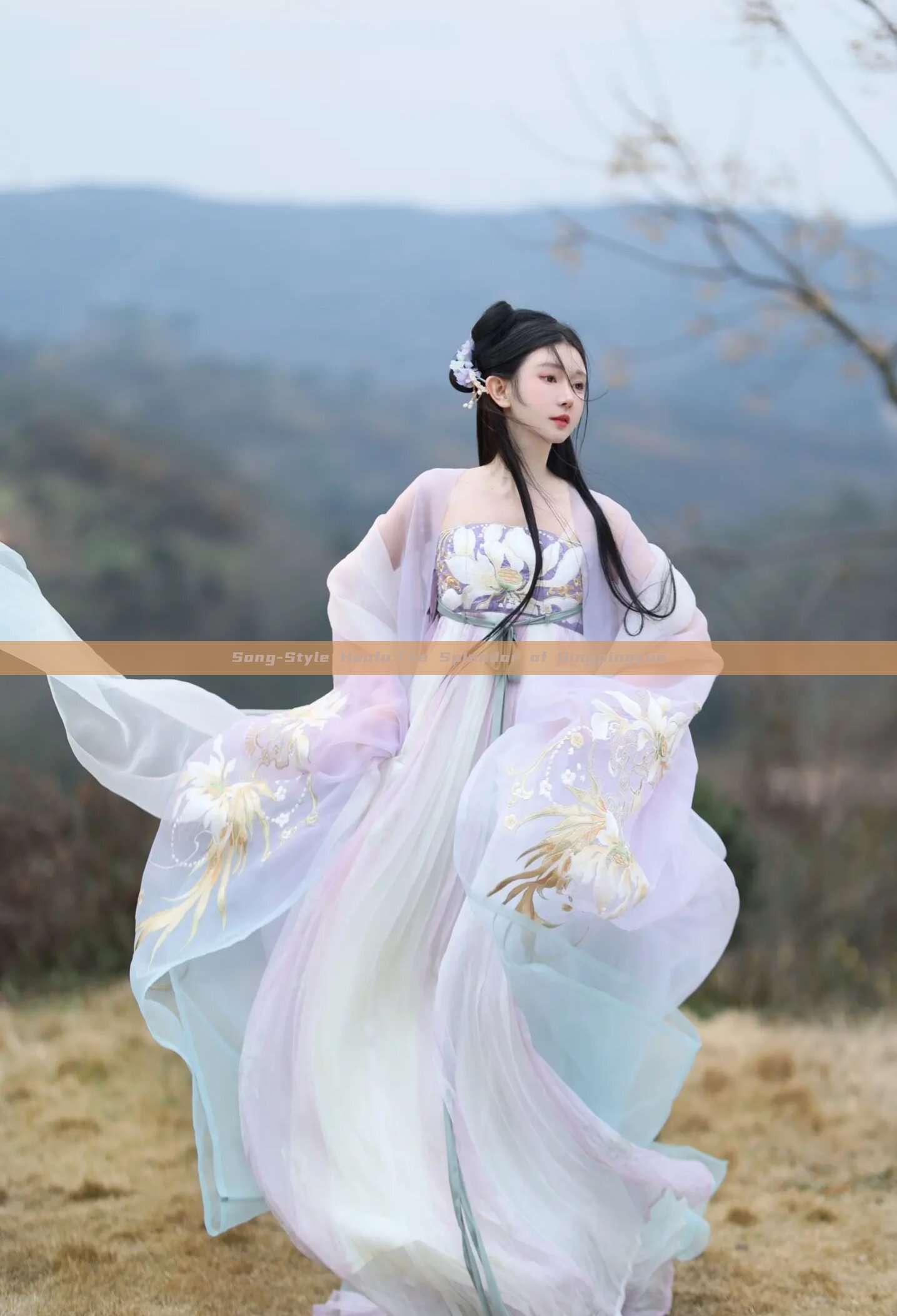 Song-Style Hanfu:The Splendor of Qingpingyue Song-Style Hanfu:The Splendor of Qingpingyue