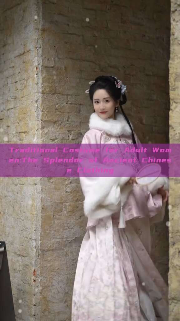 Traditional Costume for Adult Women:The Splendor of Ancient Chinese Clothing Traditional Costume for Adult Women:The Splendor of Ancient Chinese Clothing