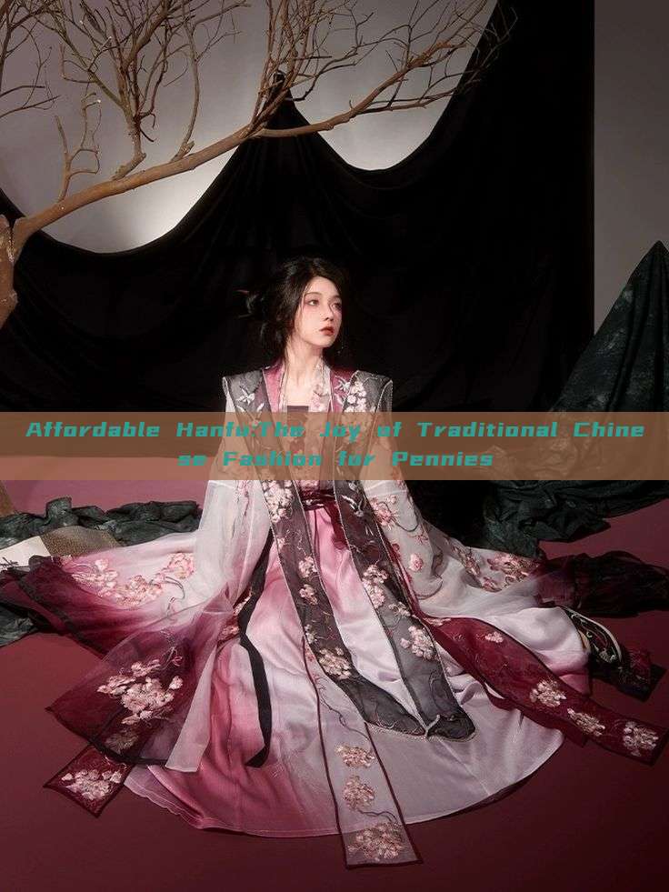 Affordable Hanfu:The Joy of Traditional Chinese Fashion for Pennies Affordable Hanfu:The Joy of Traditional Chinese Fashion for Pennies