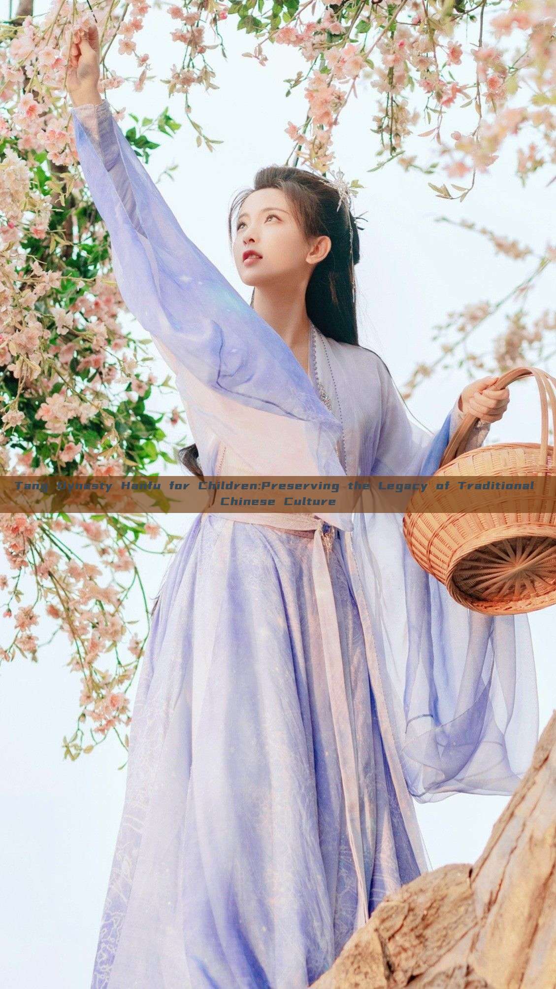 Tang Dynasty Hanfu for Children:Preserving the Legacy of Traditional Chinese Culture Tang Dynasty Hanfu for Children:Preserving the Legacy of Traditional Chinese Culture