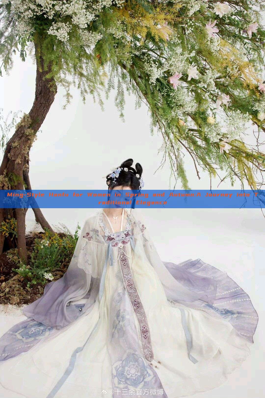 Ming-Style Hanfu for Women in Spring and Autumn:A Journey into Traditional Elegance Ming-Style Hanfu for Women in Spring and Autumn:A Journey into Traditional Elegance