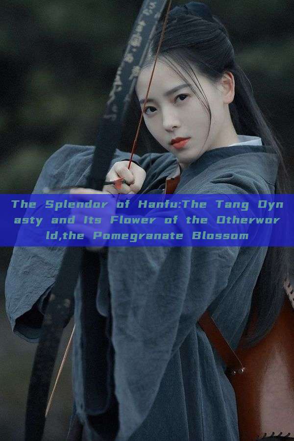 The Splendor of Hanfu:The Tang Dynasty and Its Flower of the Otherworld,the Pomegranate Blossom The Splendor of Hanfu:The Tang Dynasty and Its Flower of the Otherworld,the Pomegranate Blossom