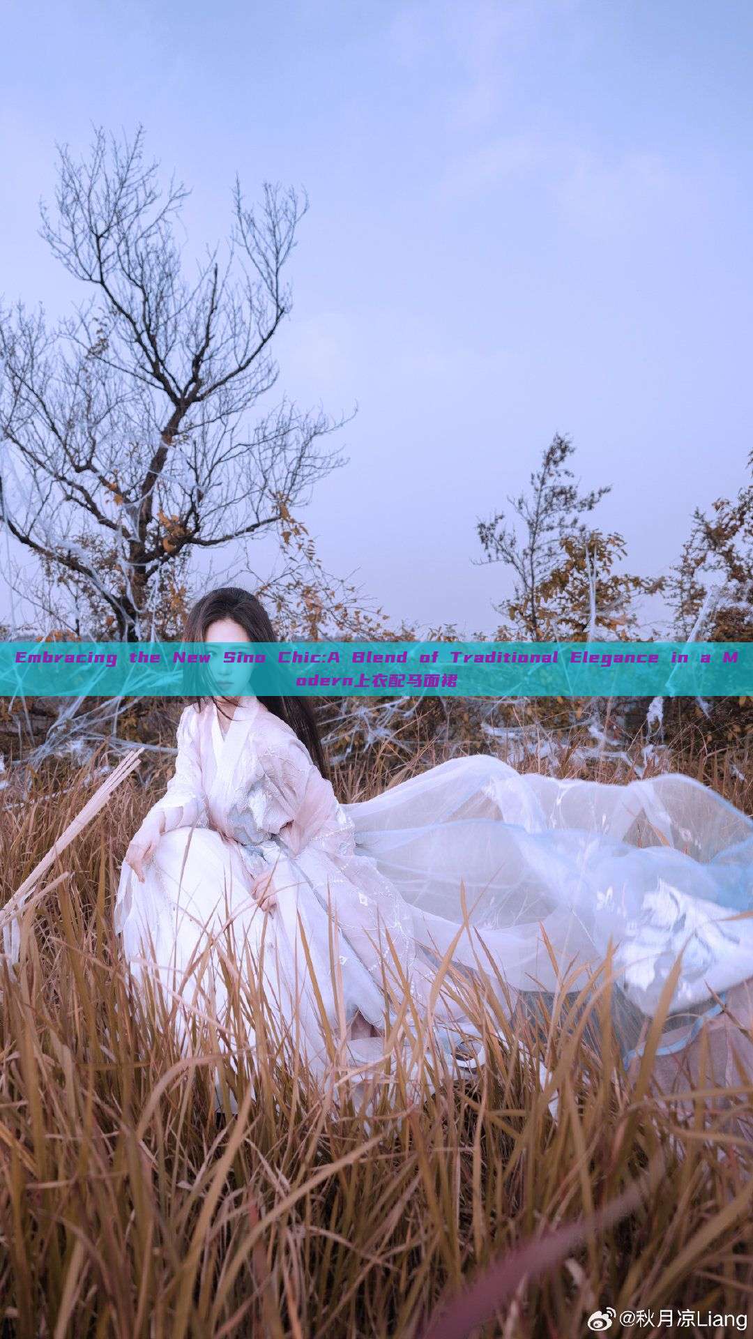 Embracing the New Sino Chic:A Blend of Traditional Elegance in a Modern上衣配马面裙 Embracing the New Sino Chic:A Blend of Traditional Elegance in a Modern上衣配马面裙