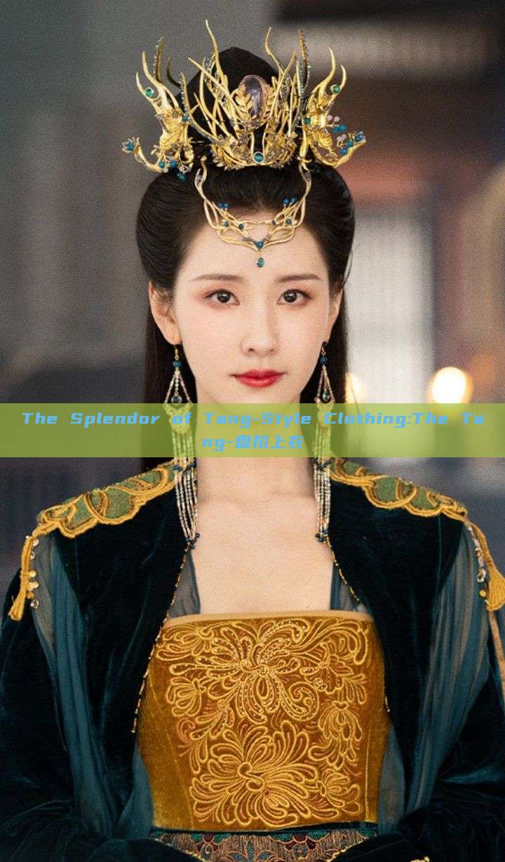 The Splendor of Tang-Style Clothing:The Tang-盘扣上衣 The Splendor of Tang-Style Clothing:The Tang-盘扣上衣