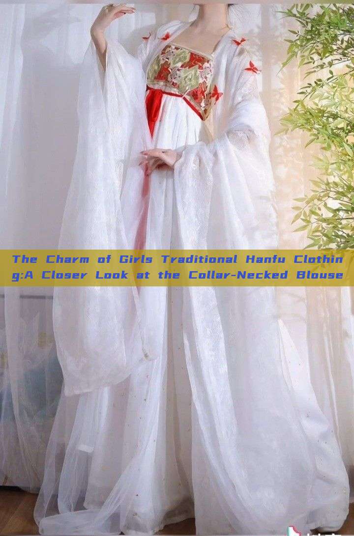 The Charm of Girls Traditional Hanfu Clothing:A Closer Look at the Collar-Necked Blouse The Charm of Girls Traditional Hanfu Clothing:A Closer Look at the Collar-Necked Blouse