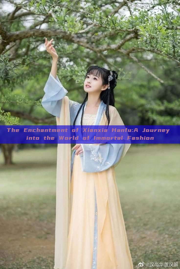 The Enchantment of Xianxia Hanfu:A Journey into the World of Immortal Fashion The Enchantment of Xianxia Hanfu:A Journey into the World of Immortal Fashion