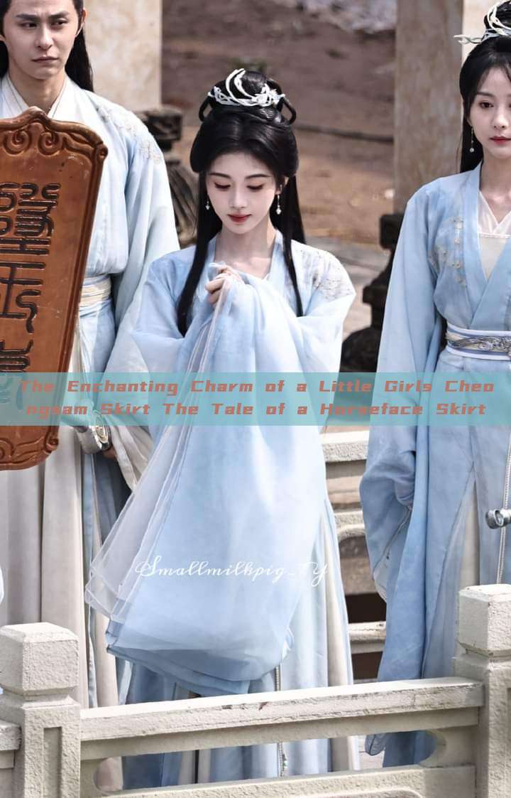 The Enchanting Charm of a Little Girls Cheongsam Skirt The Tale of a Horseface Skirt The Enchanting Charm of a Little Girls Cheongsam Skirt The Tale of a Horseface Skirt