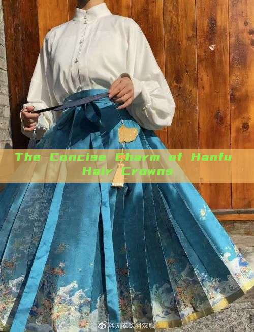 The Concise Charm of Hanfu Hair Crowns The Concise Charm of Hanfu Hair Crowns