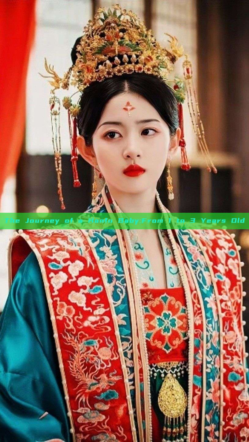 The Journey of a Hanfu Baby:From 1 to 3 Years Old The Journey of a Hanfu Baby:From 1 to 3 Years Old