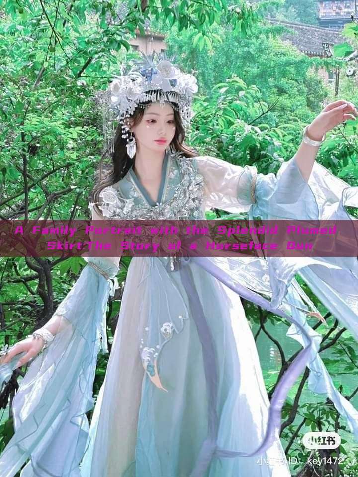 A Family Portrait with the Splendid Plumed Skirt:The Story of a Horseface Qun A Family Portrait with the Splendid Plumed Skirt:The Story of a Horseface Qun