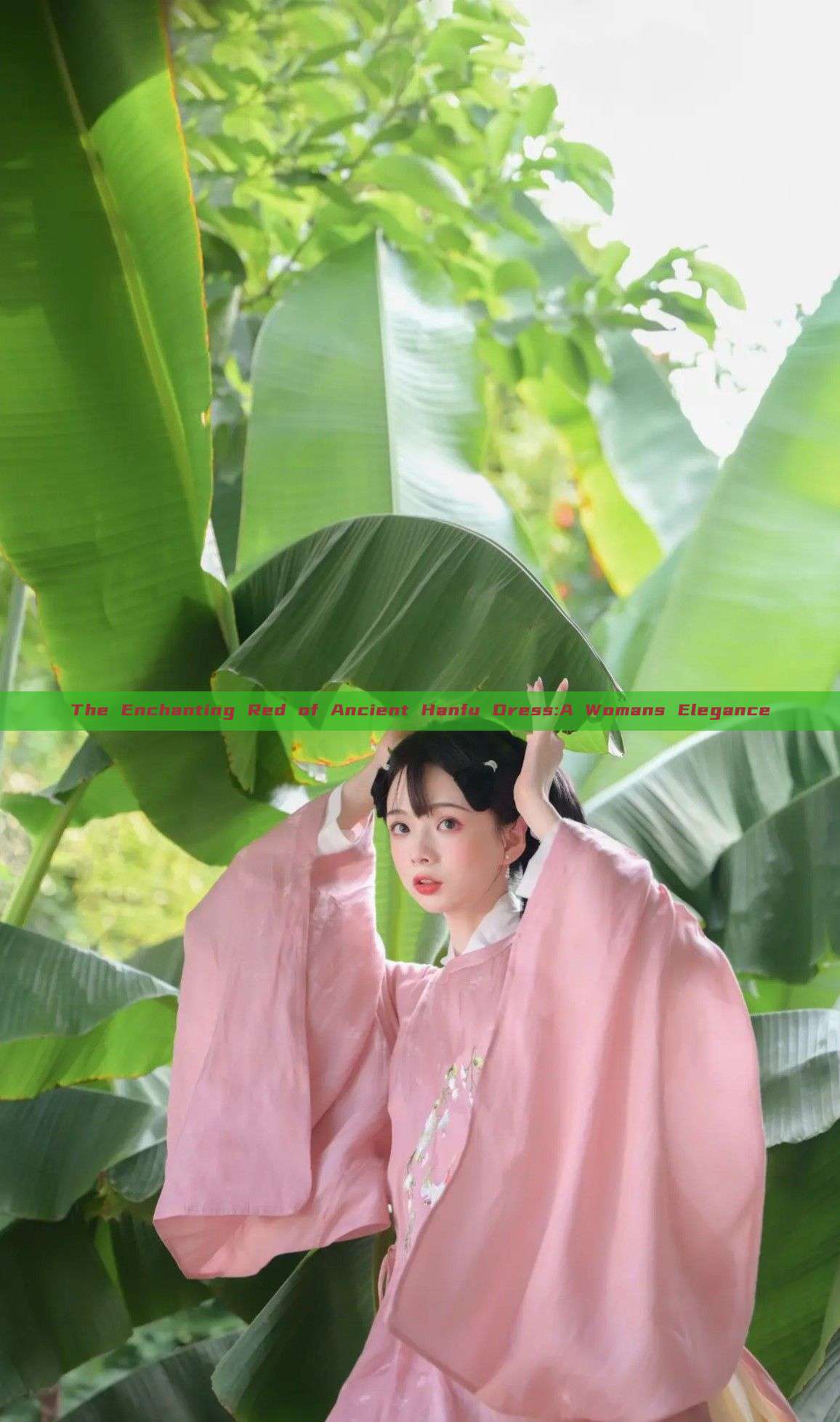 The Enchanting Red of Ancient Hanfu Dress:A Womans Elegance The Enchanting Red of Ancient Hanfu Dress:A Womans Elegance