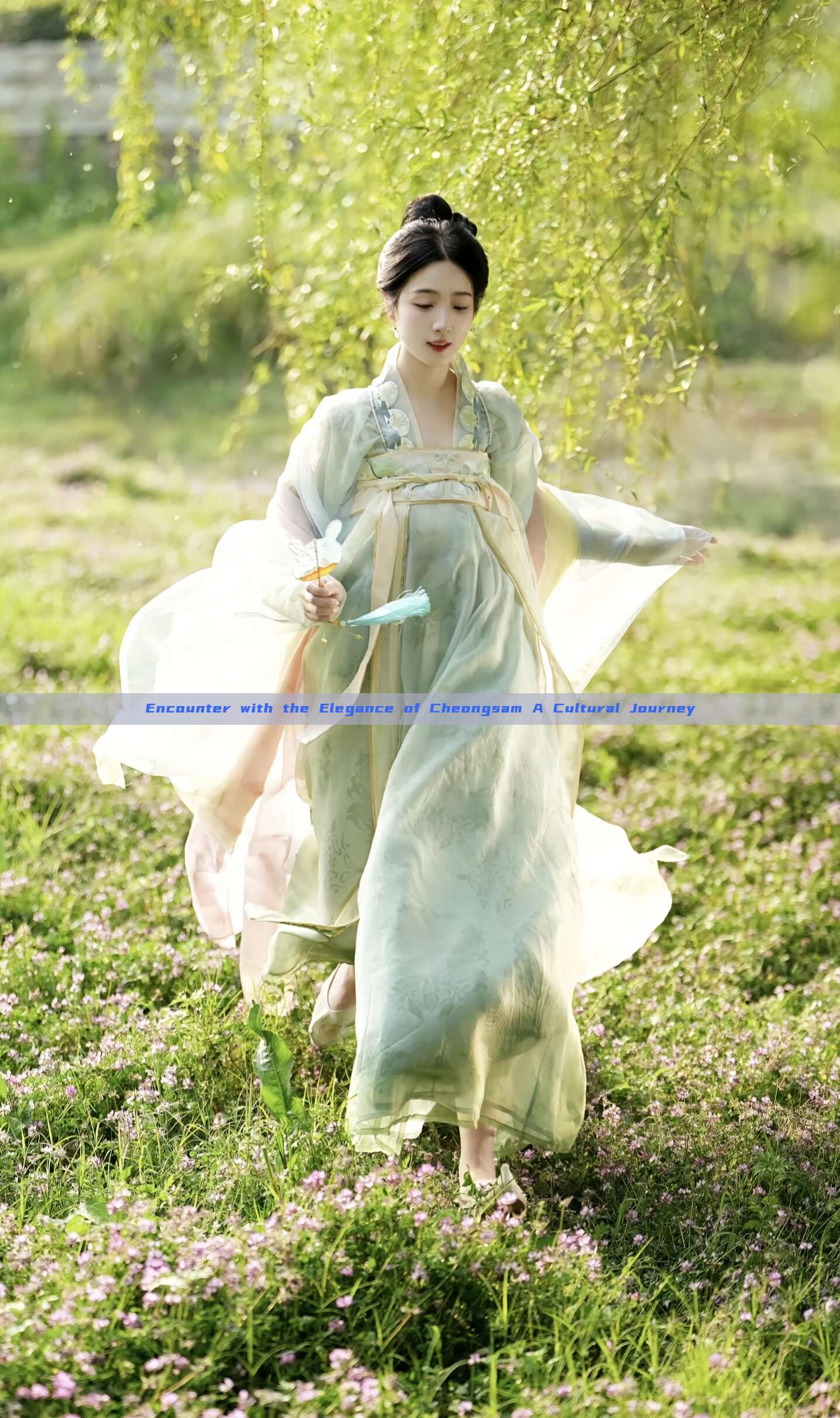 Encounter with the Elegance of Cheongsam A Cultural Journey Encounter with the Elegance of Cheongsam A Cultural Journey