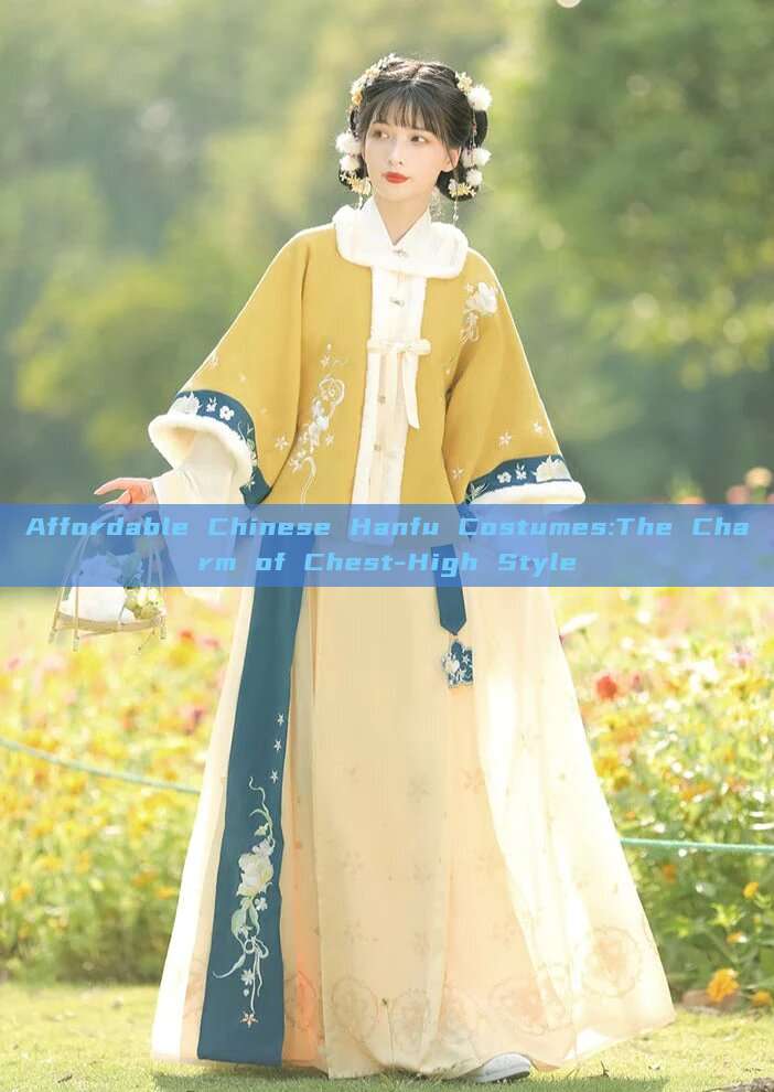 Affordable Chinese Hanfu Costumes:The Charm of Chest-High Style Affordable Chinese Hanfu Costumes:The Charm of Chest-High Style