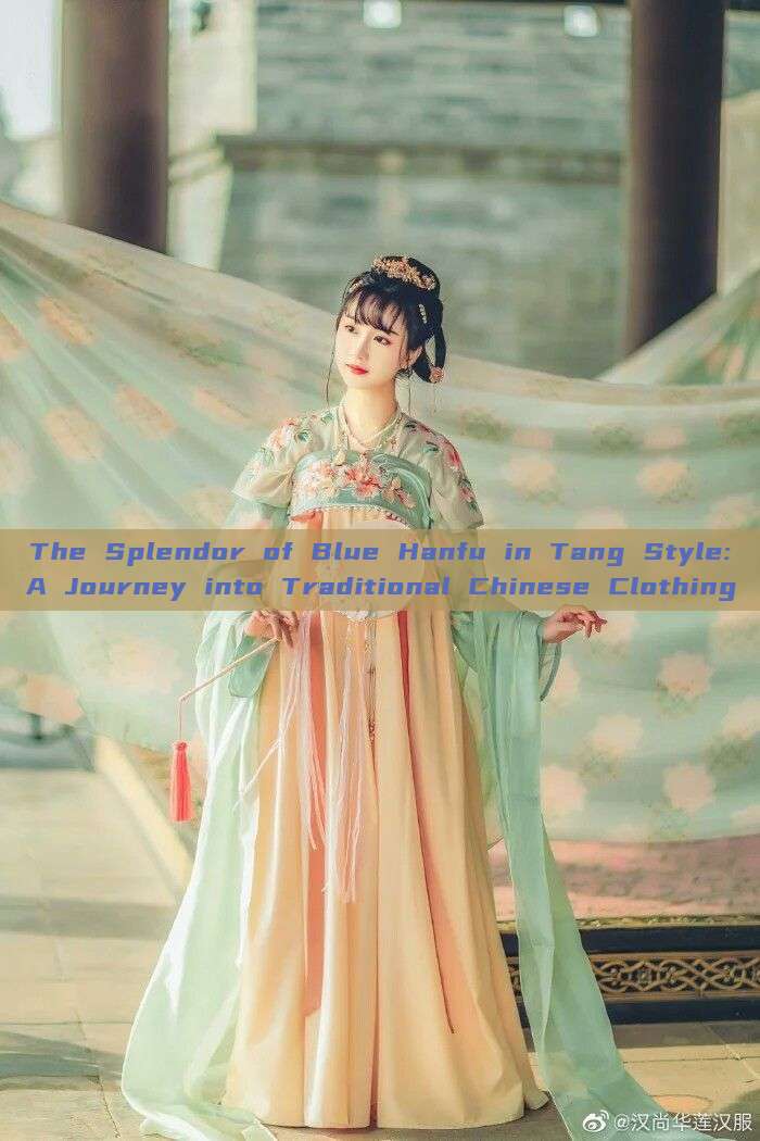The Splendor of Blue Hanfu in Tang Style:A Journey into Traditional Chinese Clothing