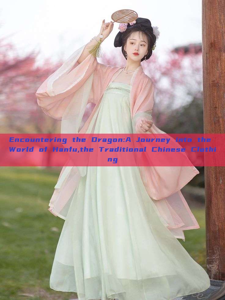 Encountering the Dragon:A Journey into the World of Hanfu,the Traditional Chinese Clothing Encountering the Dragon:A Journey into the World of Hanfu,the Traditional Chinese Clothing