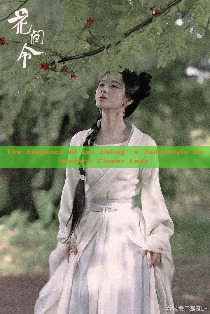 The Elegance of Liu Jialing’s Tang-Style Costume:A Closer Look The Elegance of Liu Jialing’s Tang-Style Costume:A Closer Look