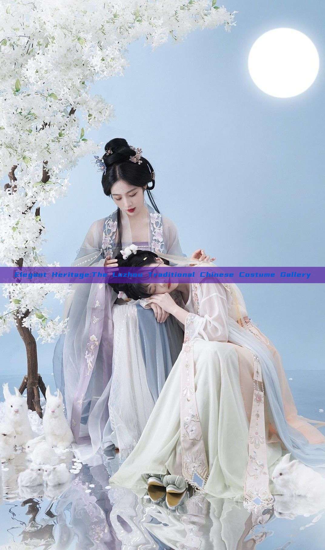 Elegant Heritage:The Luzhou Traditional Chinese Costume Gallery