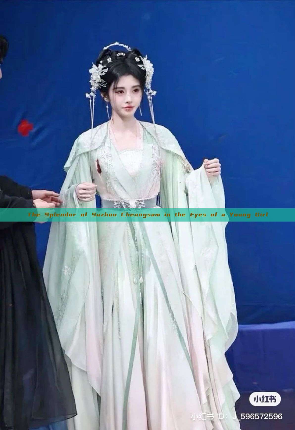 The Splendor of Suzhou Cheongsam in the Eyes of a Young Girl The Splendor of Suzhou Cheongsam in the Eyes of a Young Girl