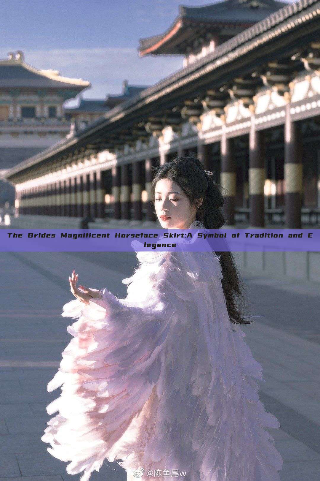 The Brides Magnificent Horseface Skirt:A Symbol of Tradition and Elegance The Brides Magnificent Horseface Skirt:A Symbol of Tradition and Elegance