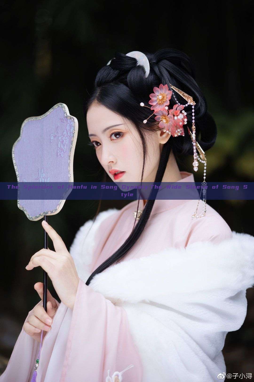 The Splendor of Hanfu in Song Dynasty:The Wide Sleeve of Song Style The Splendor of Hanfu in Song Dynasty:The Wide Sleeve of Song Style