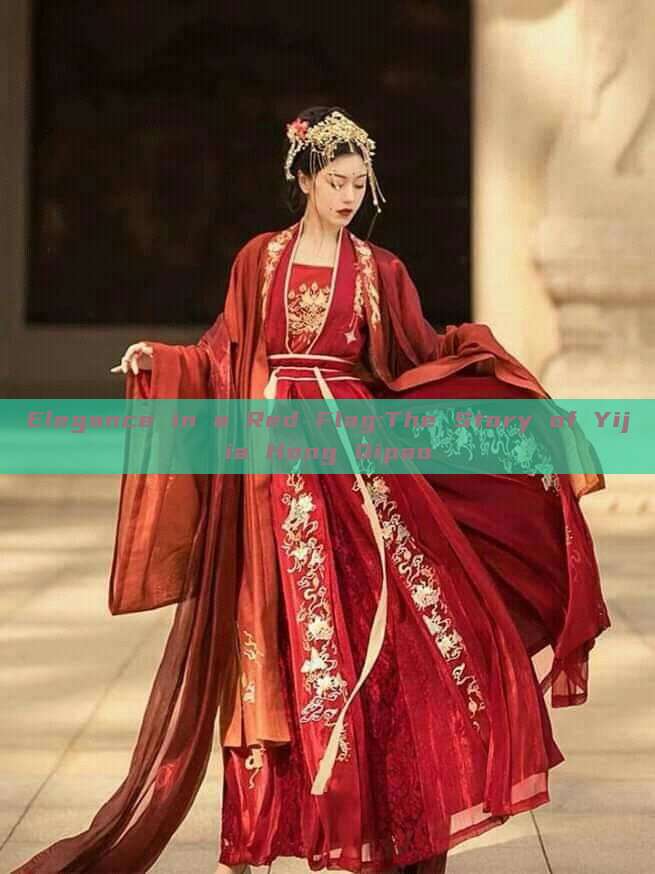 Elegance in a Red Flag:The Story of Yijia Hong Qipao Elegance in a Red Flag:The Story of Yijia Hong Qipao