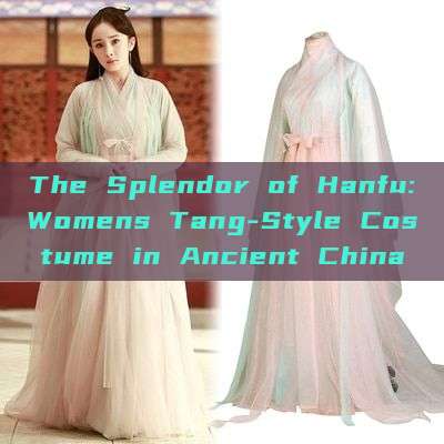 The Splendor of Hanfu:Womens Tang-Style Costume in Ancient China The Splendor of Hanfu:Womens Tang-Style Costume in Ancient China