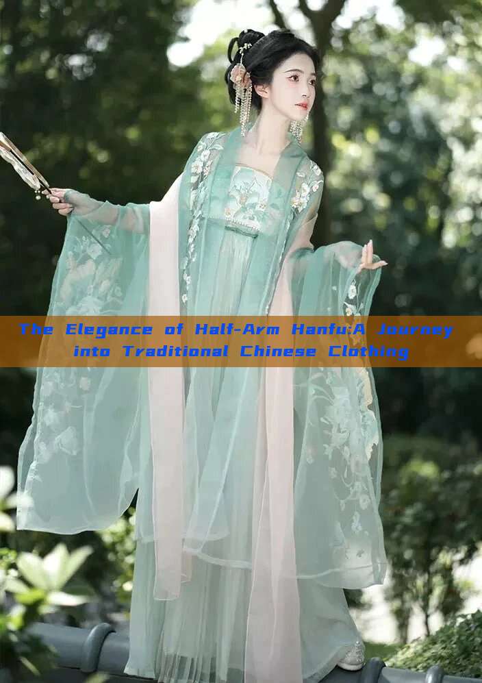 The Elegance of Half-Arm Hanfu:A Journey into Traditional Chinese Clothing The Elegance of Half-Arm Hanfu:A Journey into Traditional Chinese Clothing