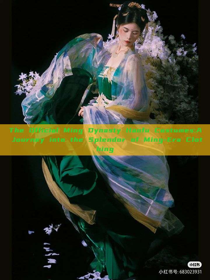 The Official Ming Dynasty Hanfu Costumes:A Journey into the Splendor of Ming-Era Clothing The Official Ming Dynasty Hanfu Costumes:A Journey into the Splendor of Ming-Era Clothing
