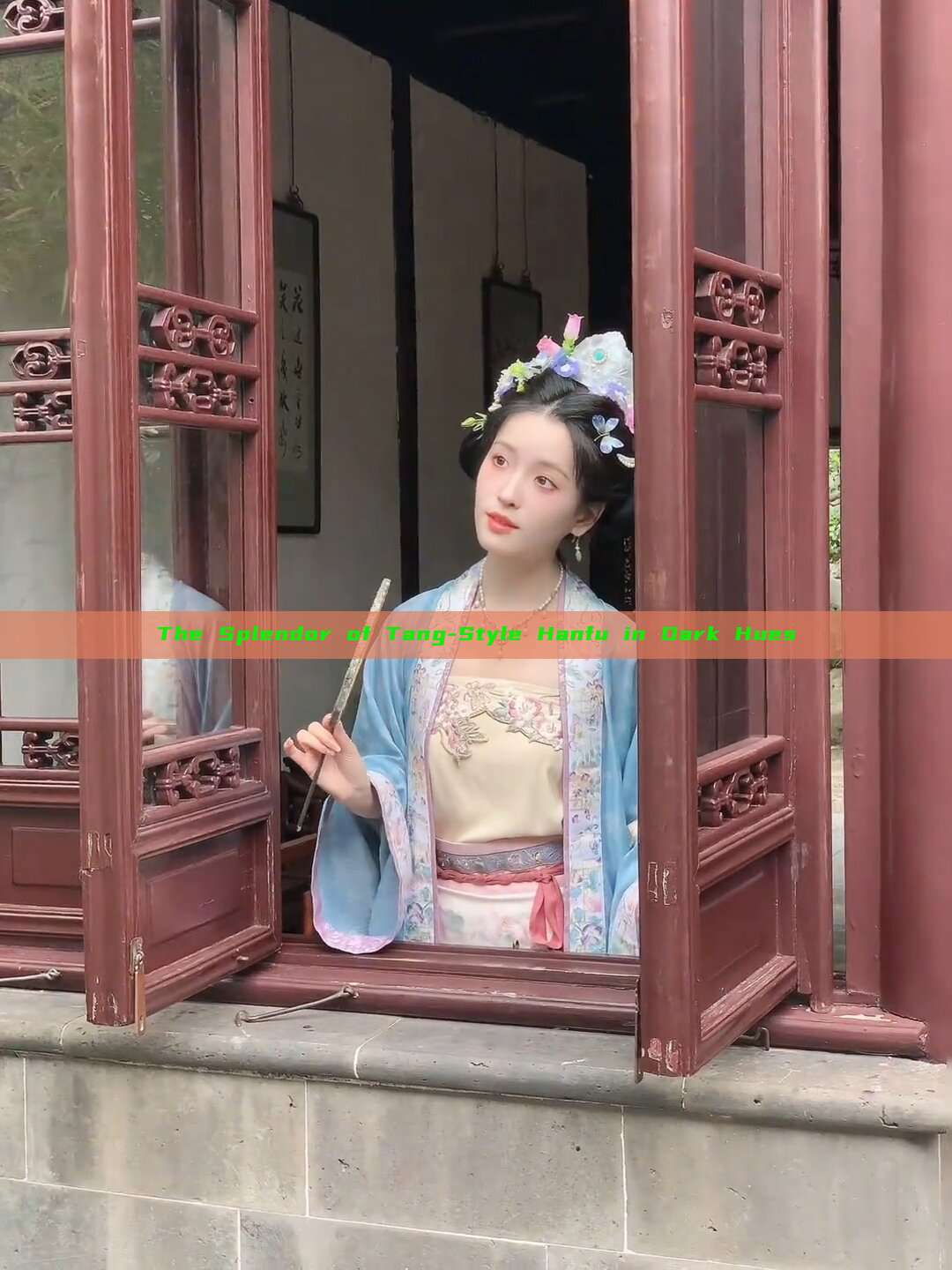 The Splendor of Tang-Style Hanfu in Dark Hues