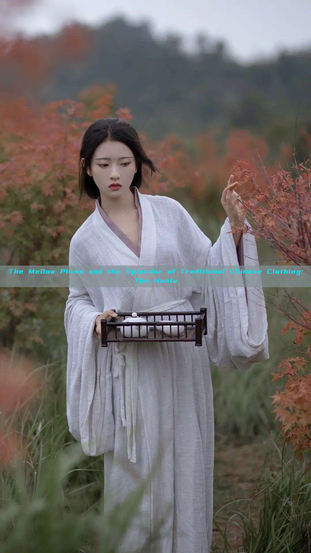 The Mellow Plums and the Splendor of Traditional Chinese Clothing:The Hanfu