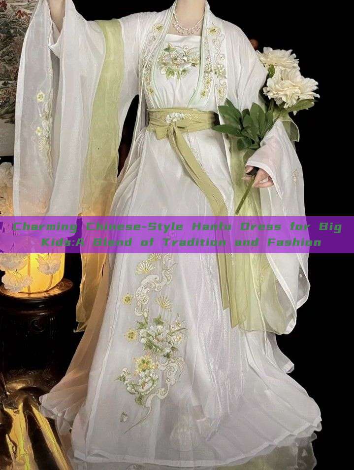 Charming Chinese-Style Hanfu Dress for Big Kids:A Blend of Tradition and Fashion Charming Chinese-Style Hanfu Dress for Big Kids:A Blend of Tradition and Fashion