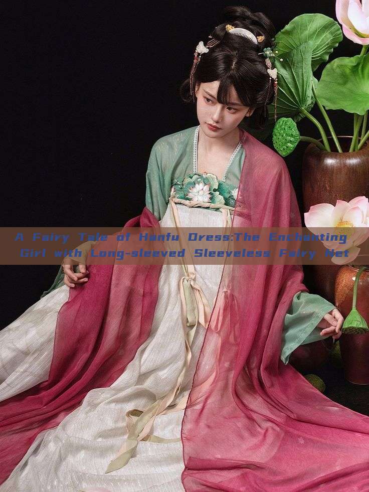 A Fairy Tale of Hanfu Dress:The Enchanting Girl with Long-sleeved Sleeveless Fairy Net A Fairy Tale of Hanfu Dress:The Enchanting Girl with Long-sleeved Sleeveless Fairy Net
