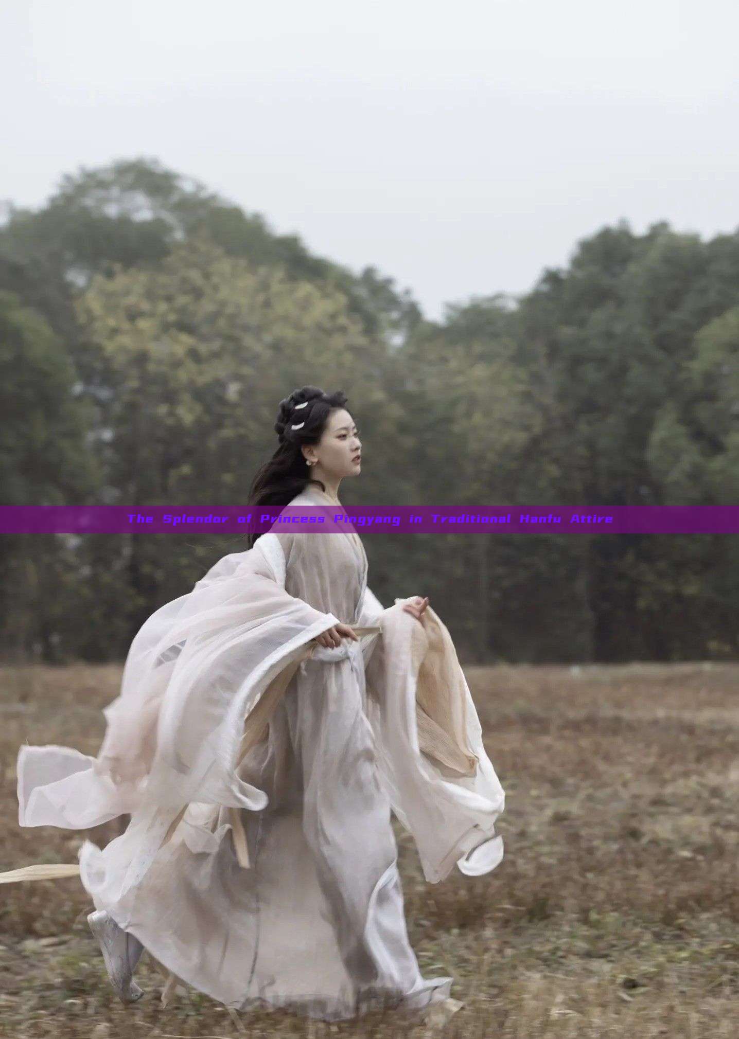 The Splendor of Princess Pingyang in Traditional Hanfu Attire The Splendor of Princess Pingyang in Traditional Hanfu Attire