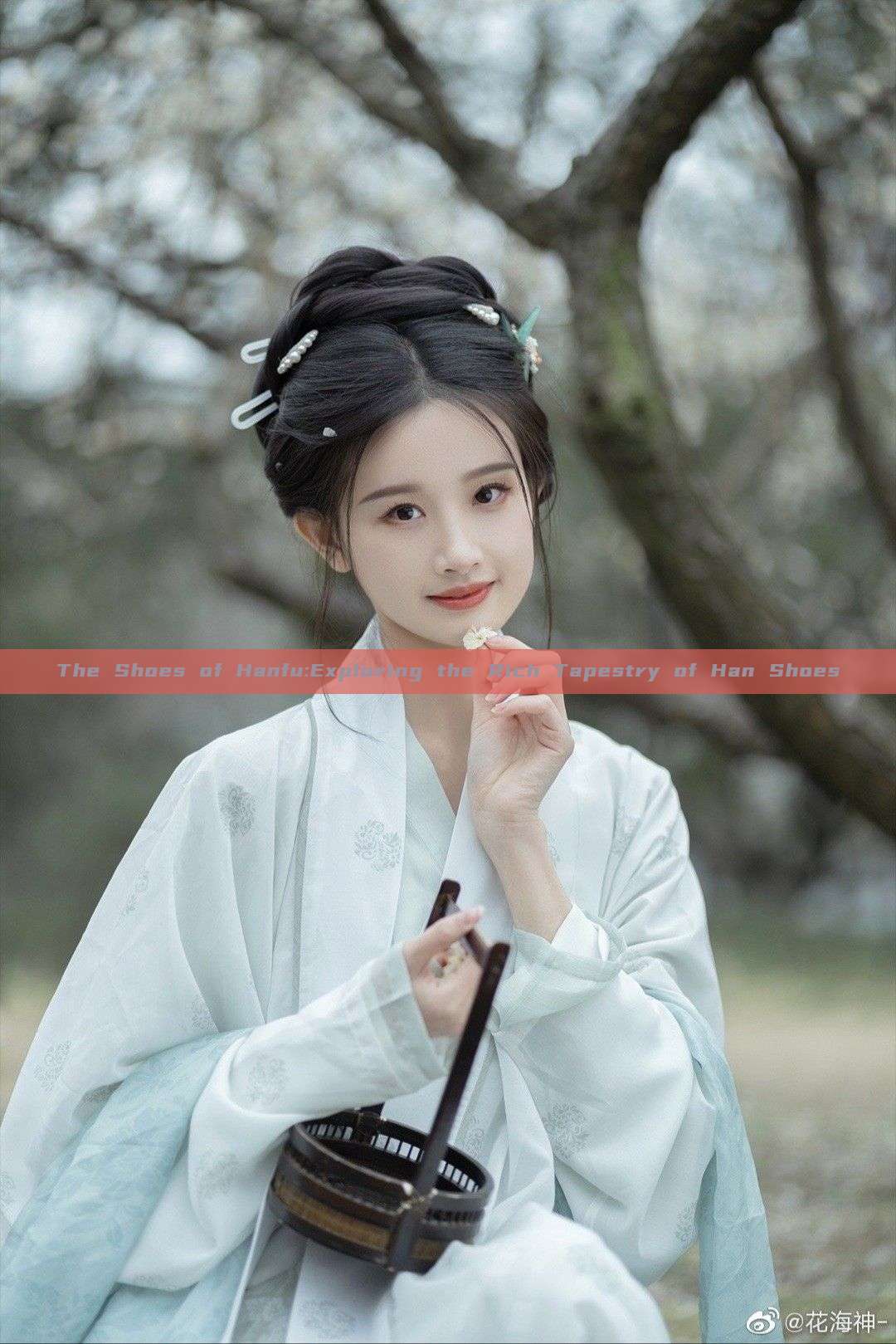 The Shoes of Hanfu:Exploring the Rich Tapestry of Han Shoes The Shoes of Hanfu:Exploring the Rich Tapestry of Han Shoes