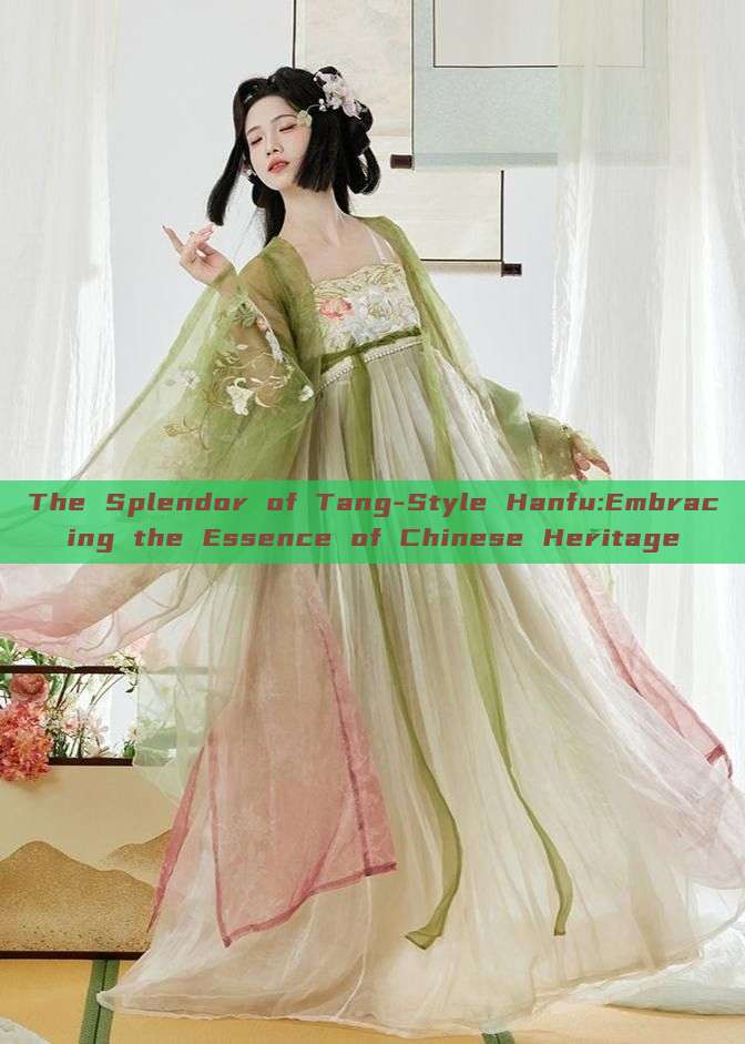 The Splendor of Tang-Style Hanfu:Embracing the Essence of Chinese Heritage The Splendor of Tang-Style Hanfu:Embracing the Essence of Chinese Heritage