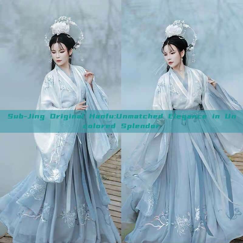 Sub-Jing Original Hanfu:Unmatched Elegance in Uncolored Splendor Sub-Jing Original Hanfu:Unmatched Elegance in Uncolored Splendor