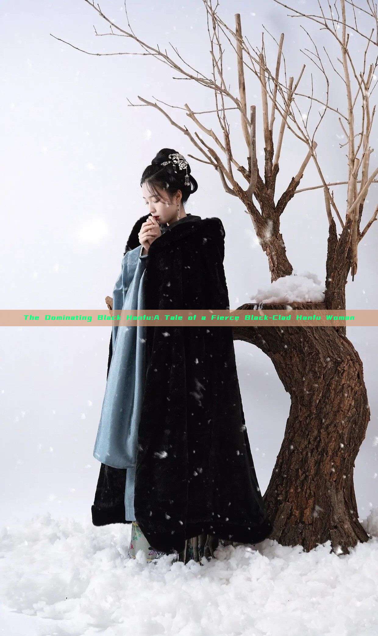 The Dominating Black Hanfu:A Tale of a Fierce Black-Clad Hanfu Woman The Dominating Black Hanfu:A Tale of a Fierce Black-Clad Hanfu Woman