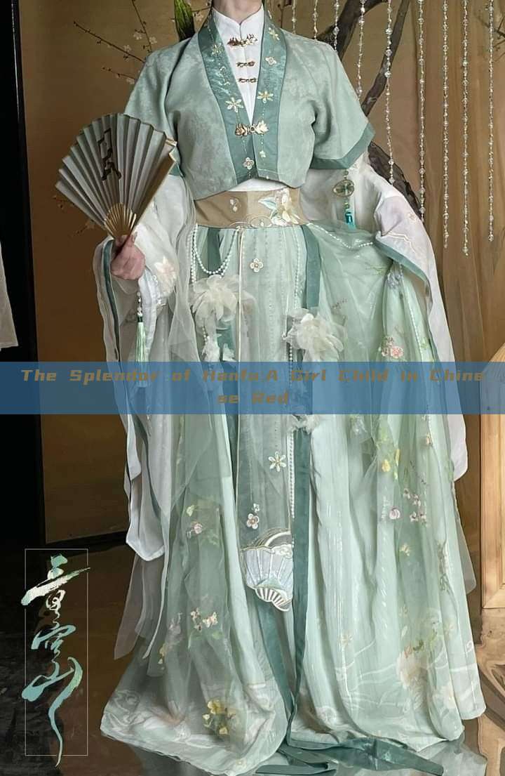 The Splendor of Hanfu:A Girl Child in Chinese Red The Splendor of Hanfu:A Girl Child in Chinese Red